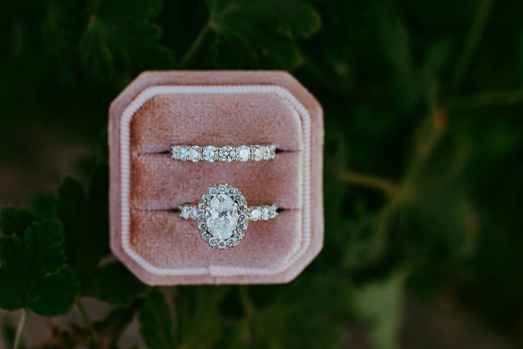 Ringe in einer Schmuckschatulle